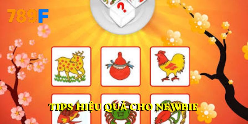 Tips hiệu quả cho newbie