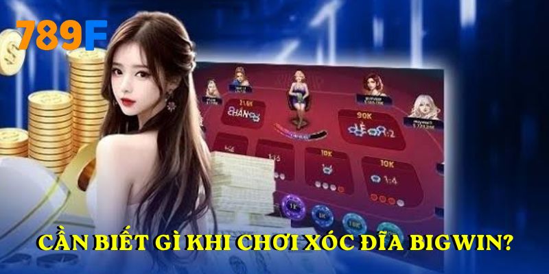Cần biết gì khi chơi xóc đĩa Bigwin?