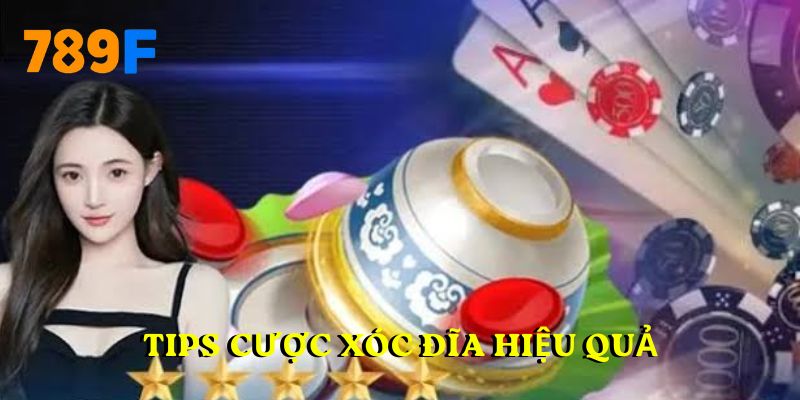 Tips cược xóc đĩa hiệu quả